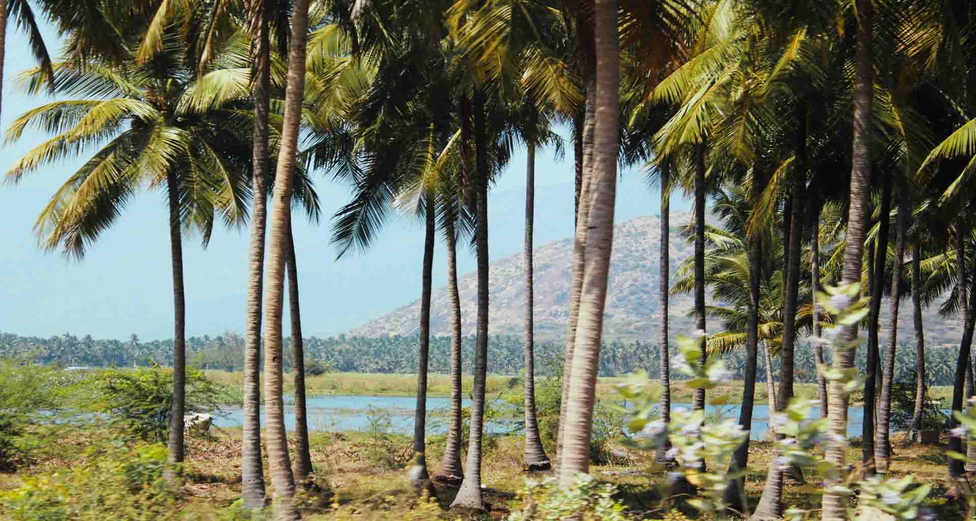 colors-of-kerala