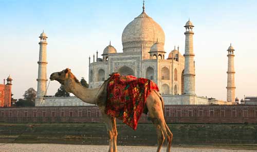 local taj mahal sightseeing from agra railway station or hotel	