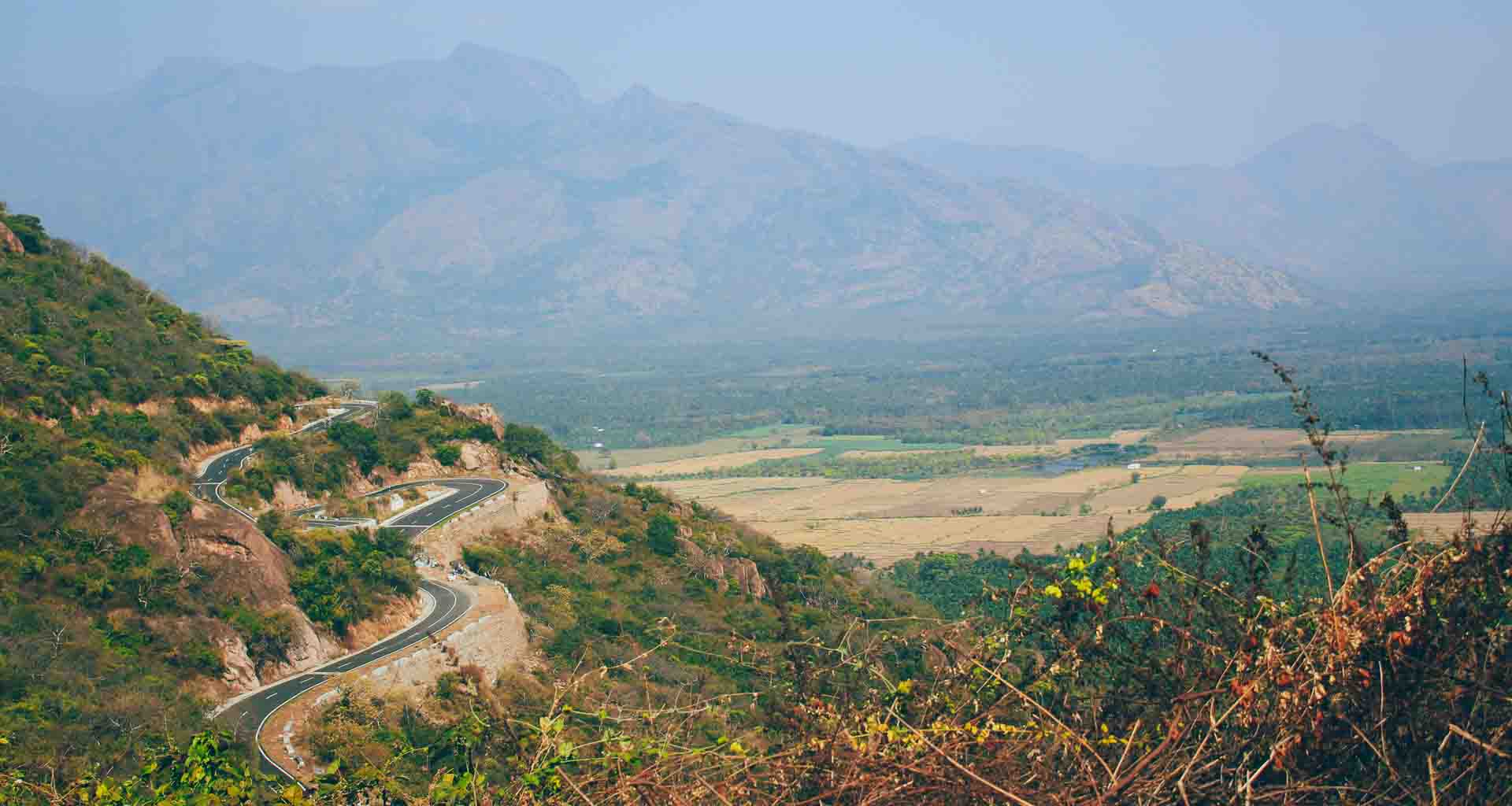 exotic-kerala